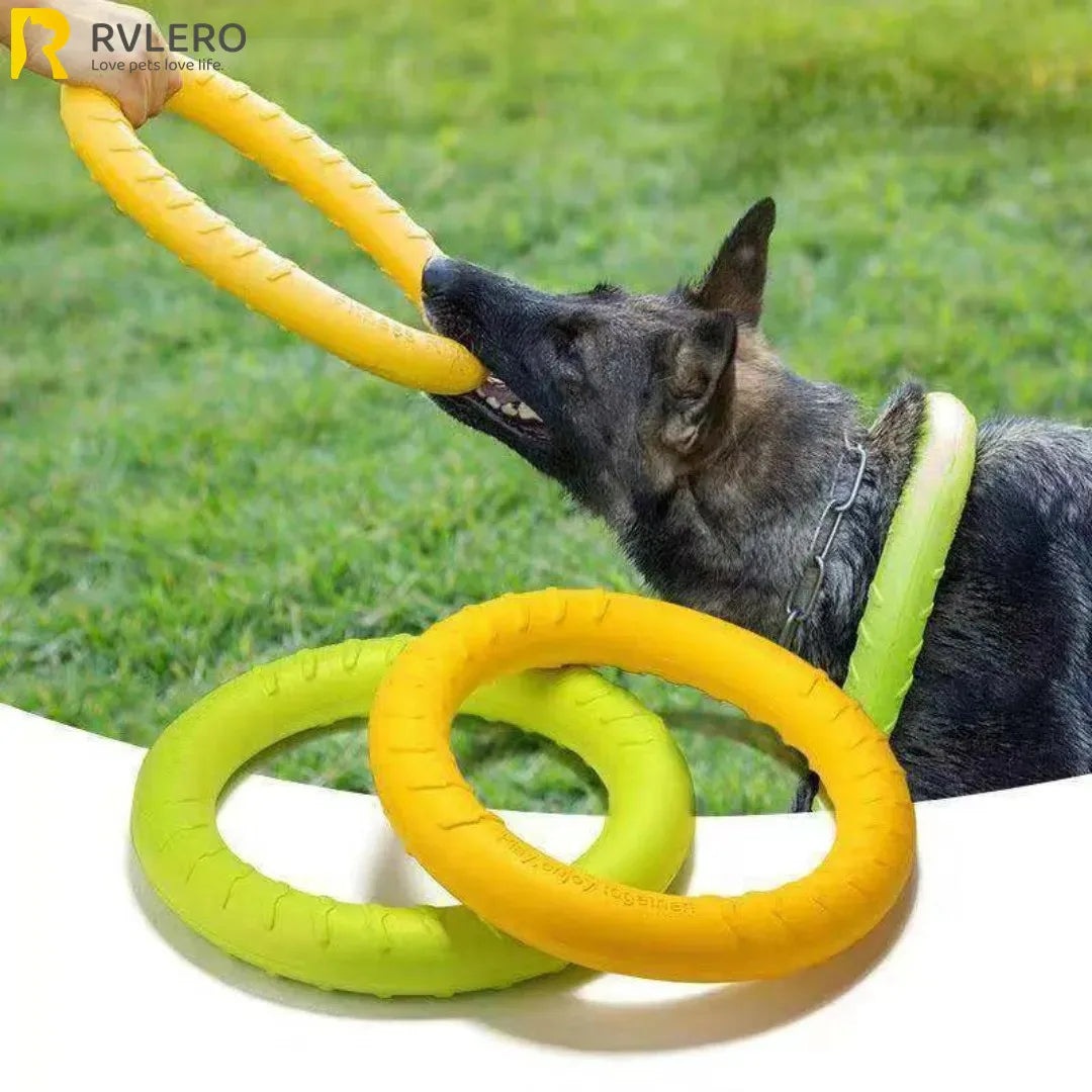 Dog Training Toy—a versatile fetch tool for dogs of all sizes