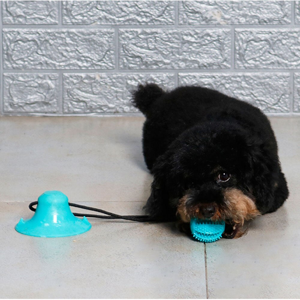 Dog Chew Ball Toys for Aggressive Chewers Interactive Dog Puzzle Toy Food Dispenser Suction Cup Dog Tug Toy for Dogs Teeth Clean