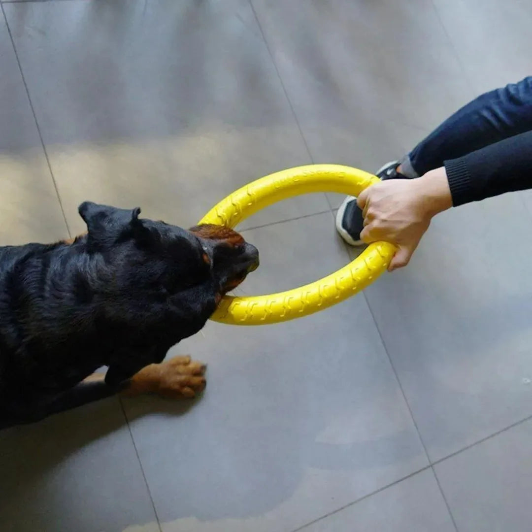 Dog Training Toy—a versatile fetch tool for dogs of all sizes